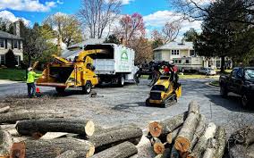 Best Pest Control for Lawns  in East Niles, CA